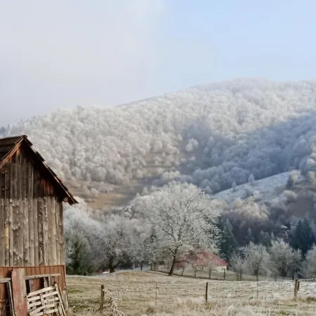 度假居 Na Vrsku *